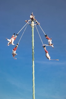 a pole that has a bunch of birds on it
