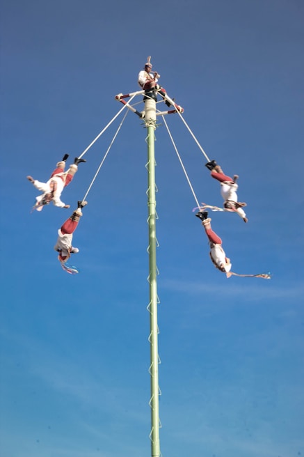 a pole that has a bunch of birds on it