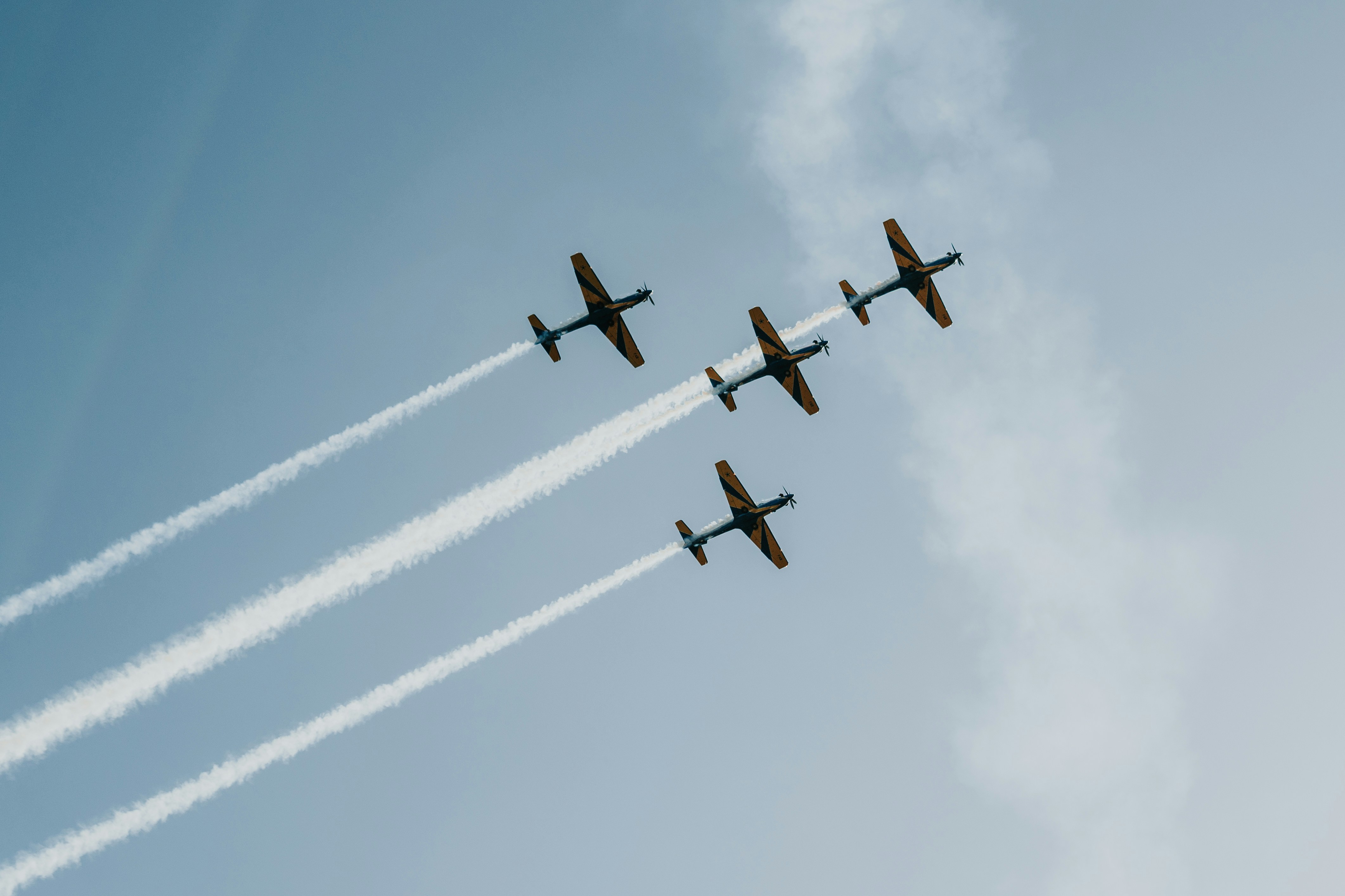 Photo by lucassilvapinh