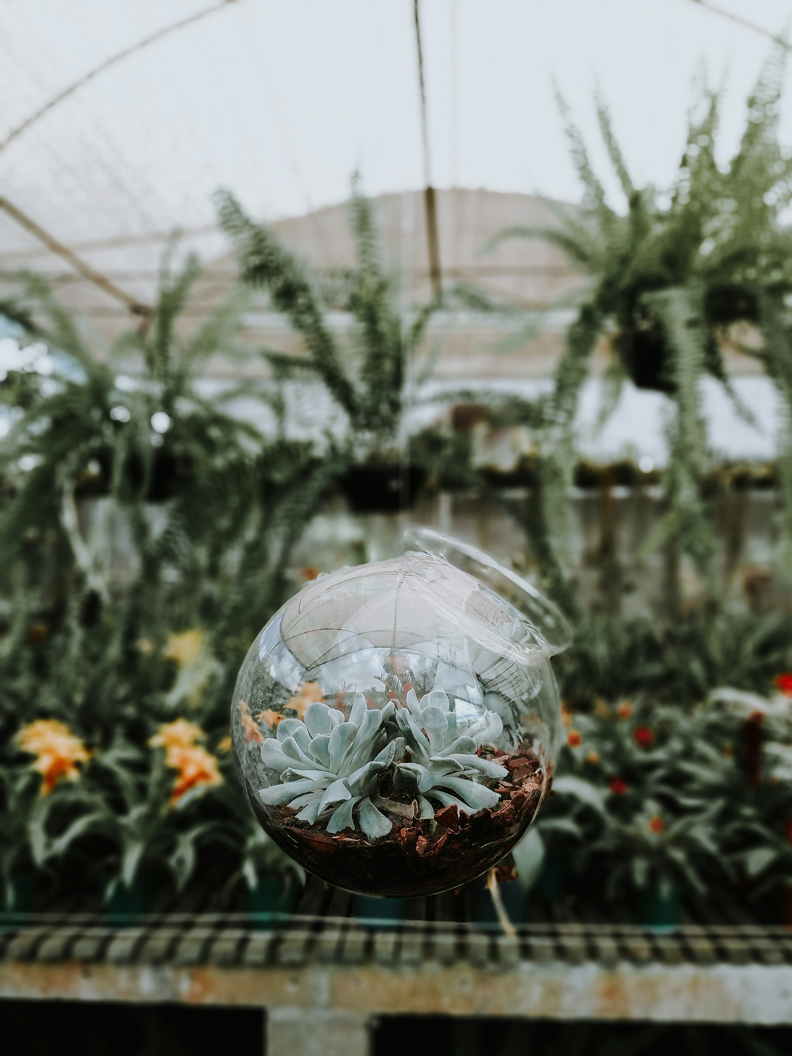 Photo by lucassilvapinh