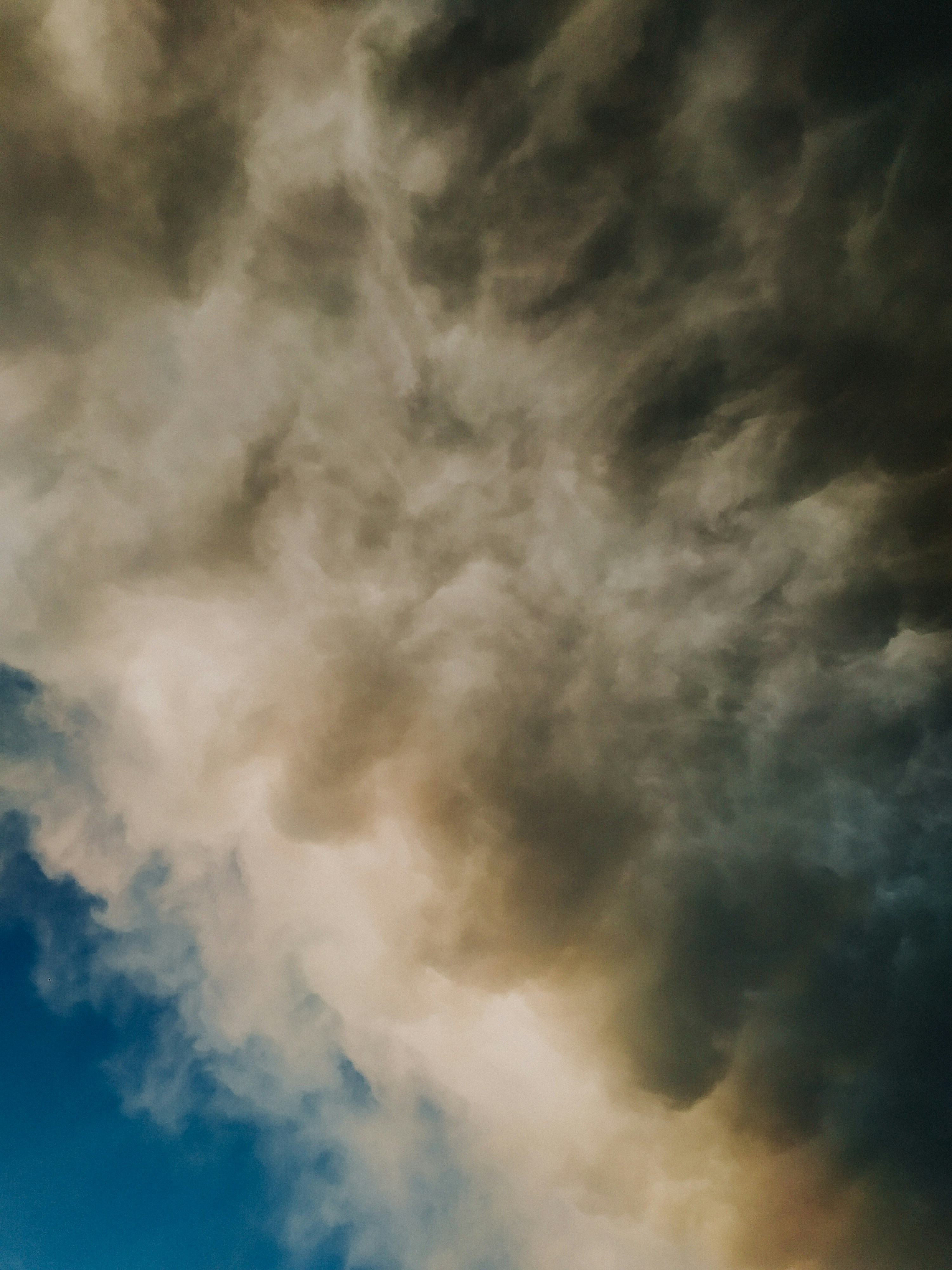 Photo by lucassilvapinh