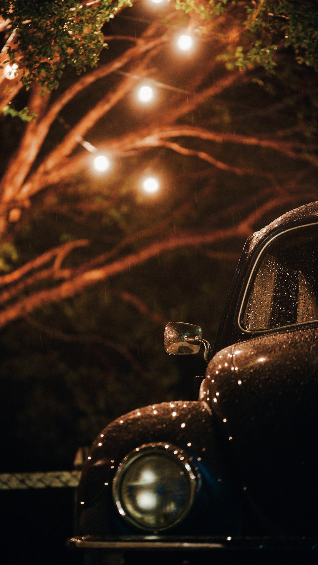 vintage black vehicle parking near tree during night time
