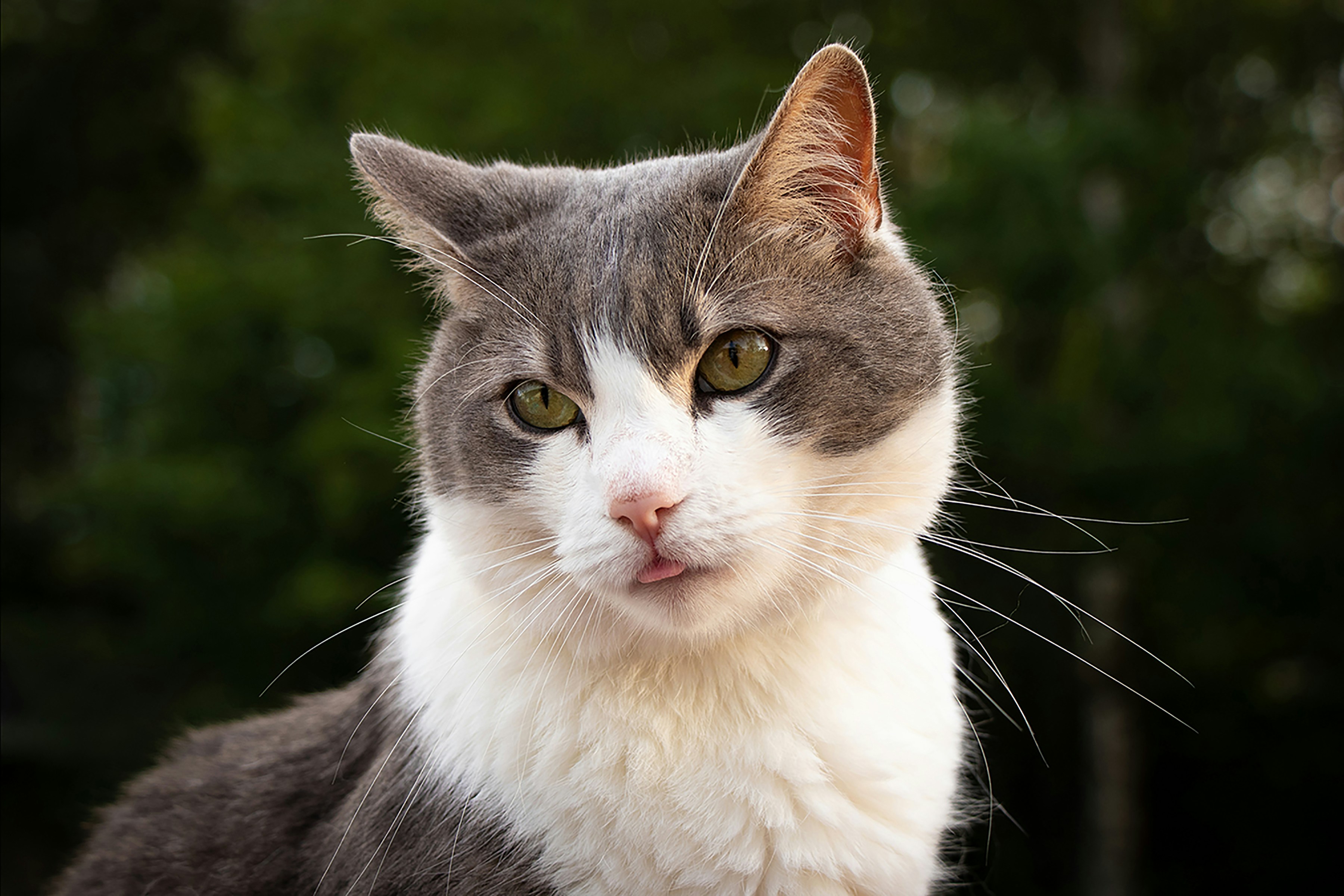 Photo by lukeandrewmacg