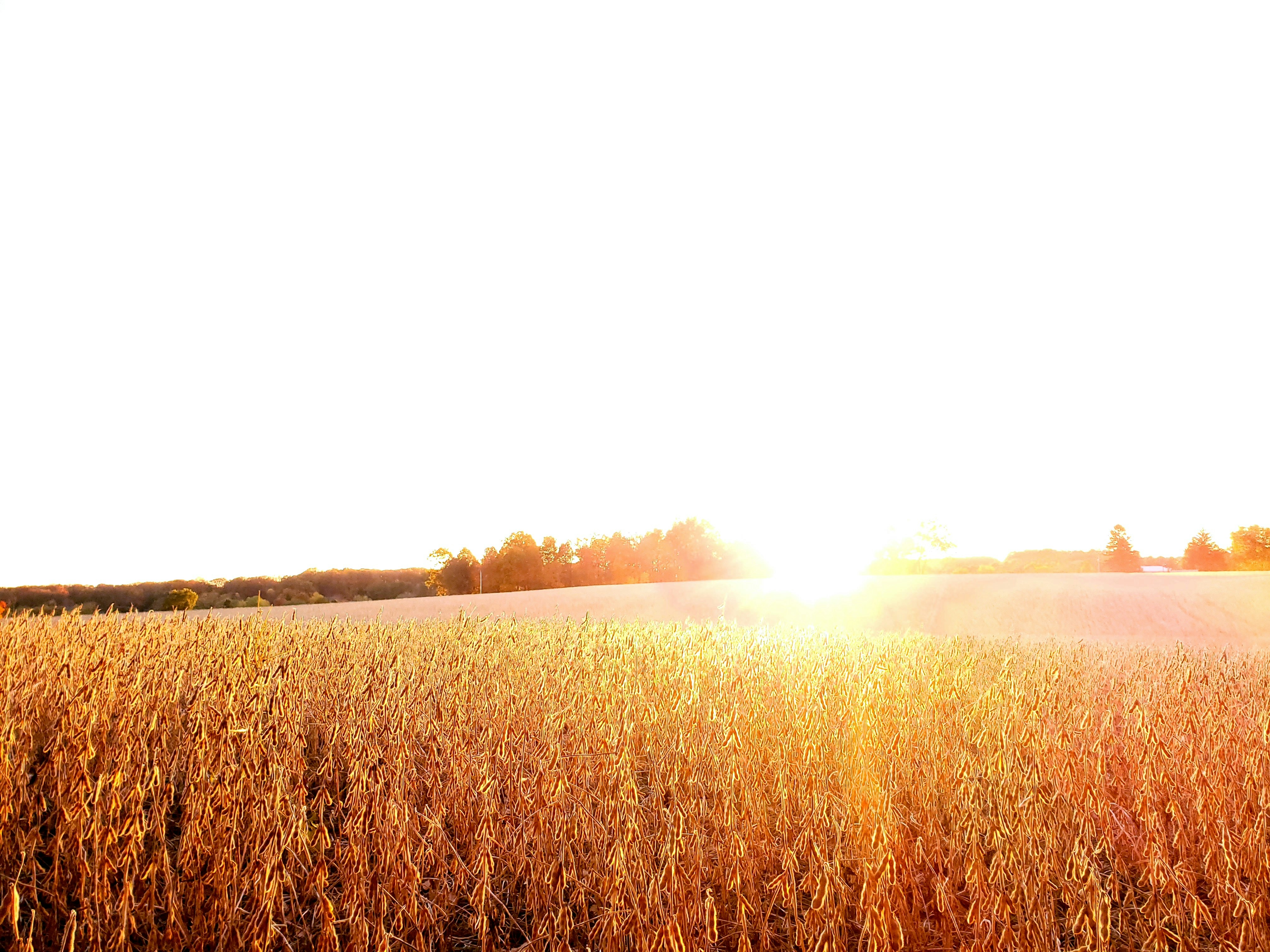 Photo by ghuffmanphotography