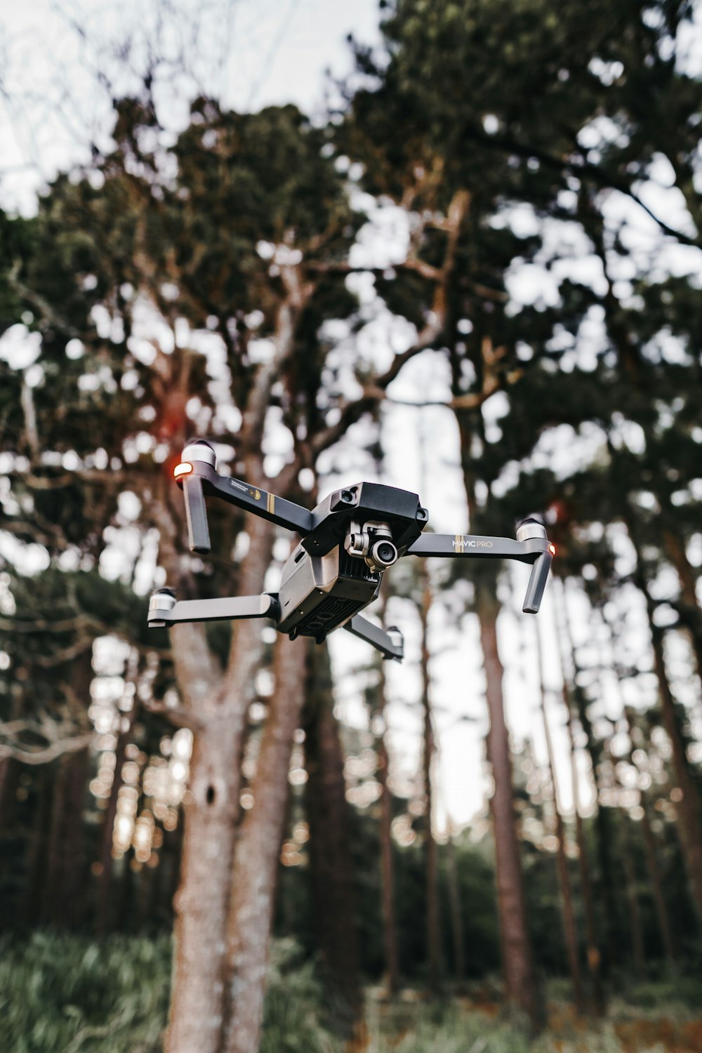 Schwarze Drohne in der Nähe von Bäumen
