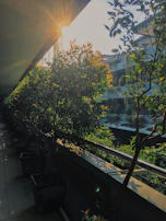 Sunlit terrace surrounded by lush greenery, perfect for morning coffee.