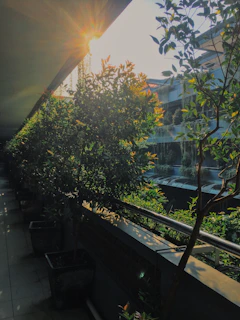 Wide shot of a sunlit terrace showing the smooth, sealed surface glistening.