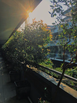 Terrace sparkling clean with sunlight highlighting the fresh surface.