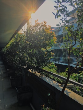 A freshly finished garden terrace with modern stonework and lush plants under bright daylight.