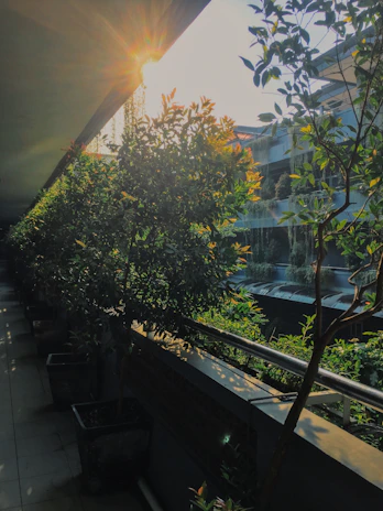 Wide shot of a sunlit terrace showing the smooth, sealed surface glistening.