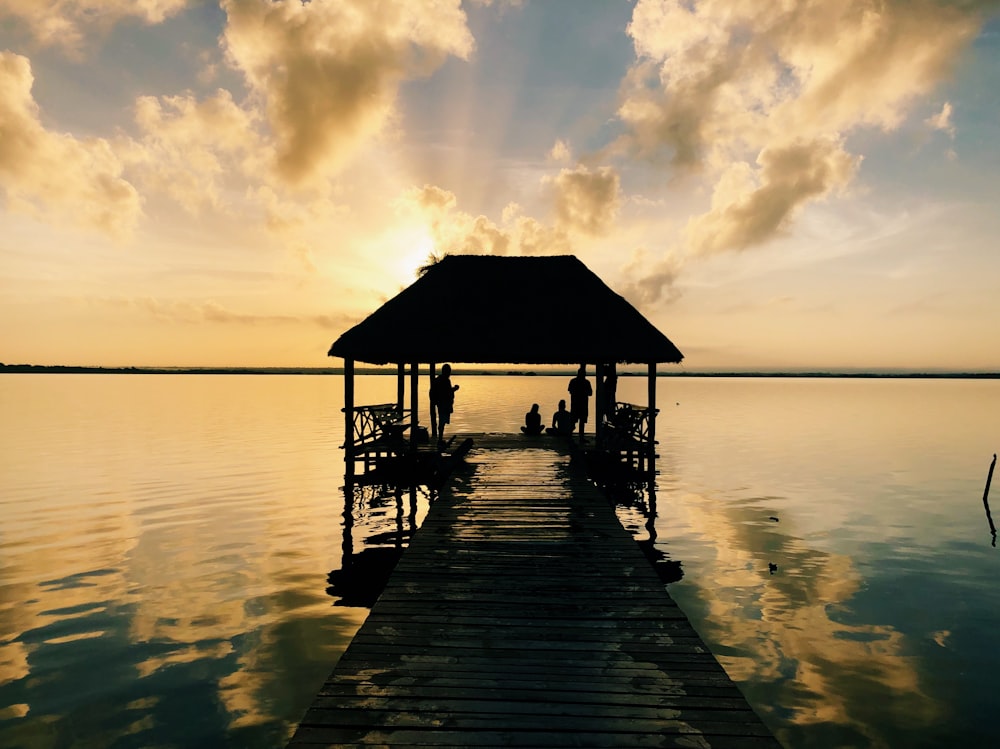 brown wooden beach dock