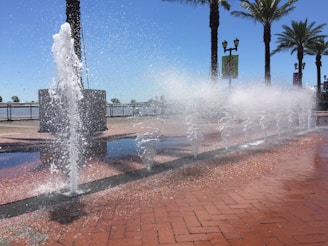 Jets of water shoot up from a series of fountains embedded in a red brick pavement, creating a playful and refreshing atmosphere. Tall palm trees line the area, casting shadows on a sunny day. In the background, there is a railing with a view of a large body of water, suggesting a waterfront location.