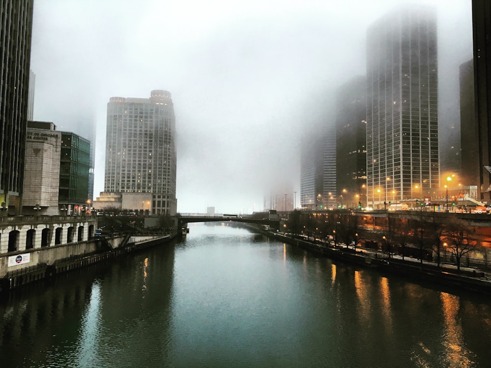 ciudad con edificios de gran altura que ven el cuerpo de agua cubierto de niebla