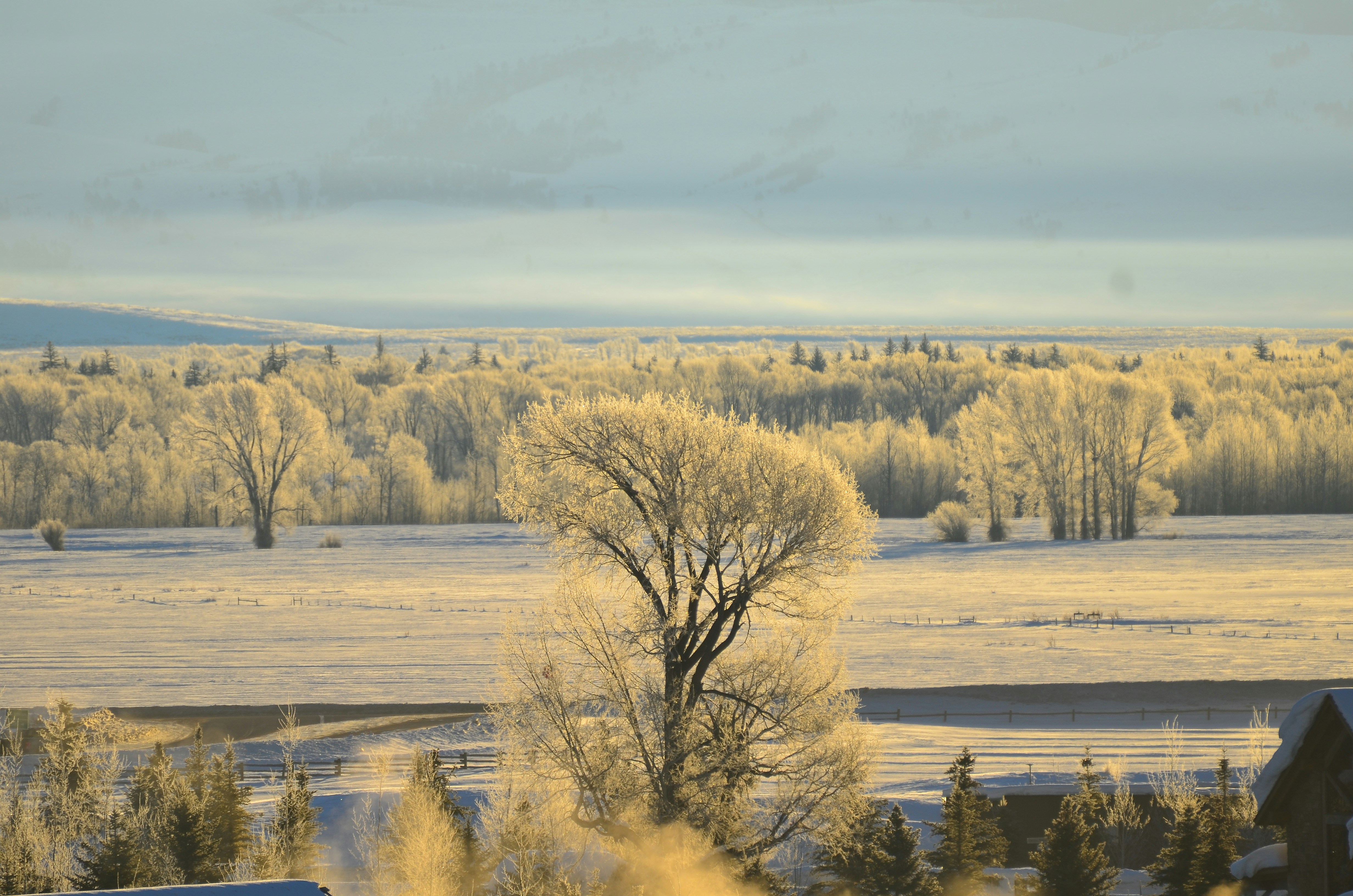 Photo by dshearer