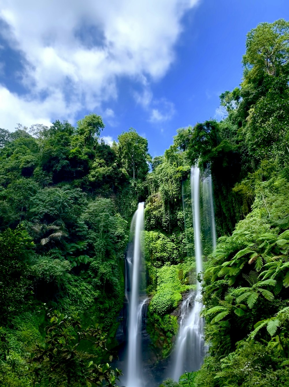 cascades entourées d’arbres