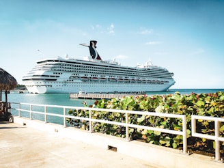white cruise ship