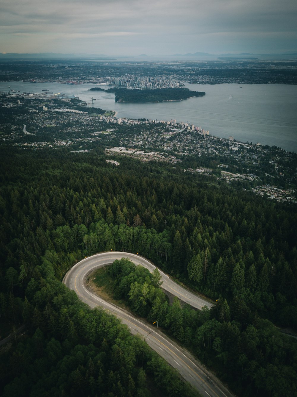 winding road way surrounded by trees near sea