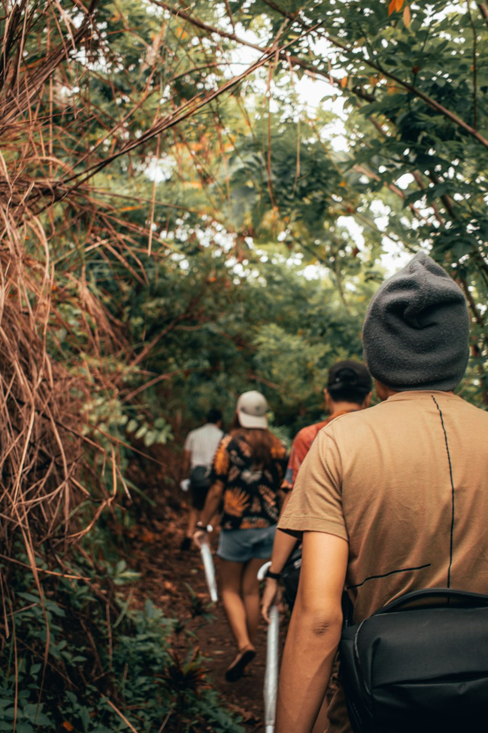 group of hiker