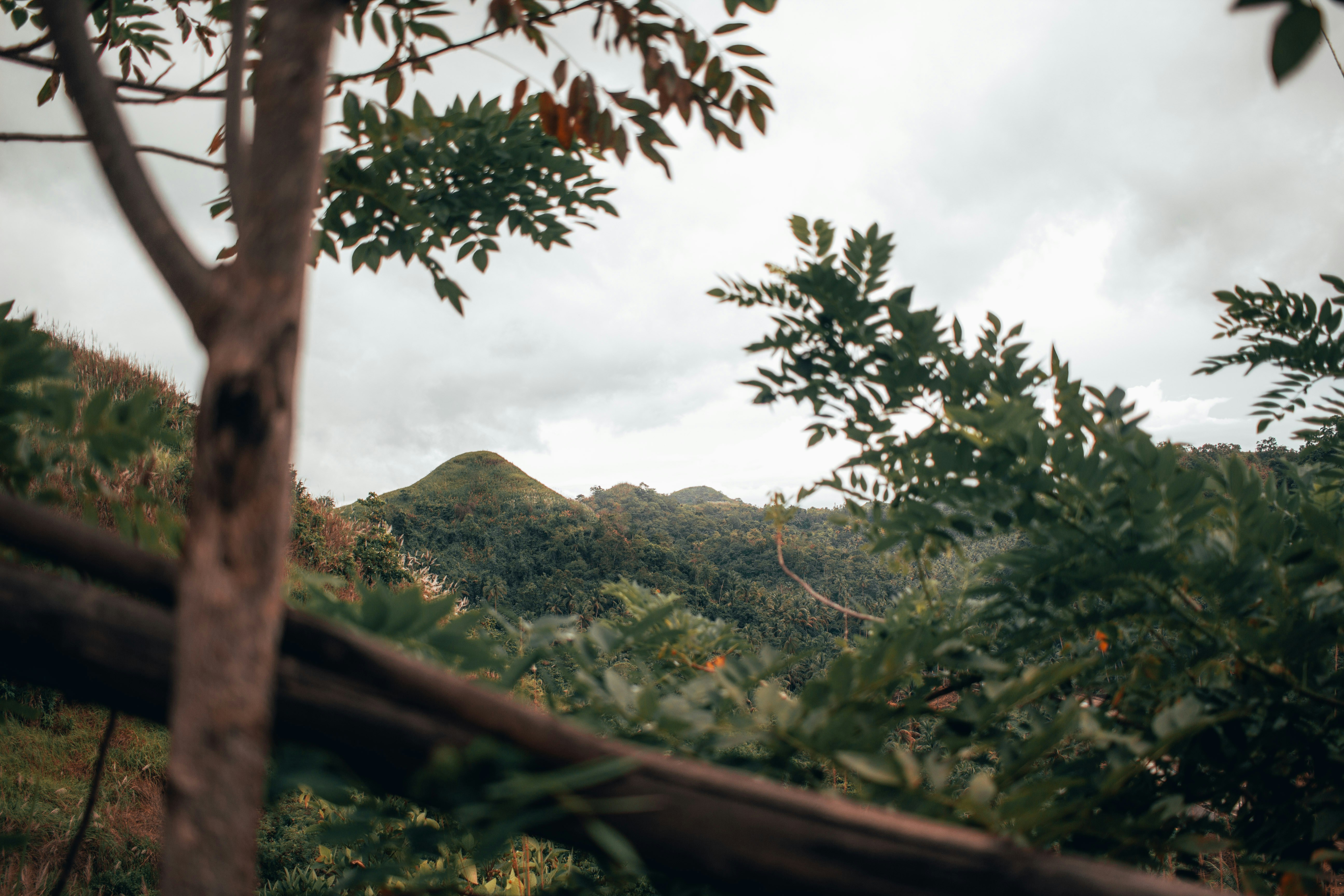 Photo by jayzflorendo