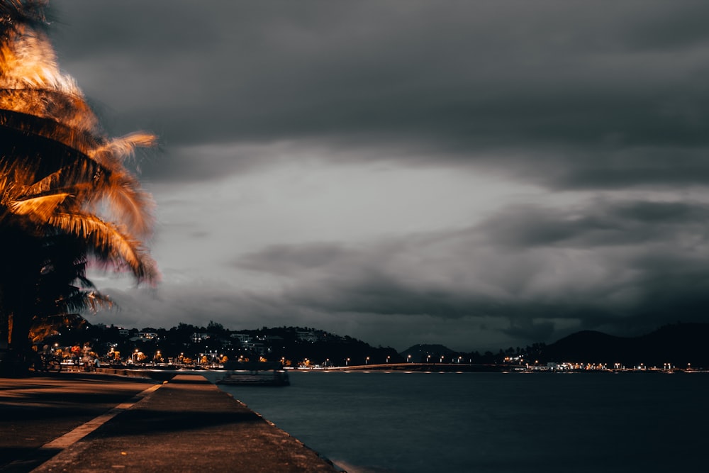 Paseo por la bahía de hormigón junto al mar y los árboles durante la noche