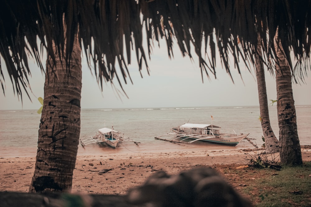 two white boats