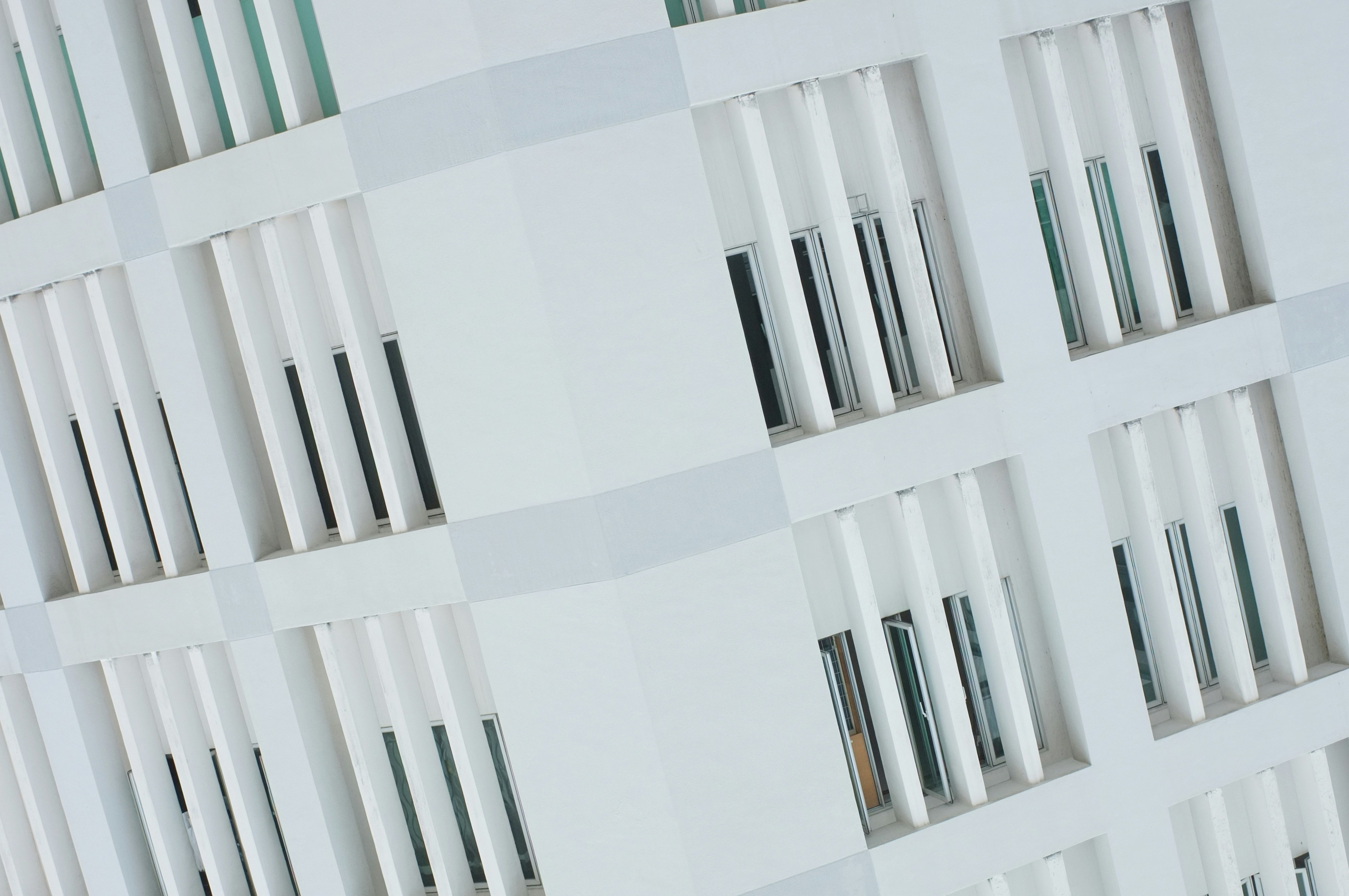 Featured image of post fff.nvim