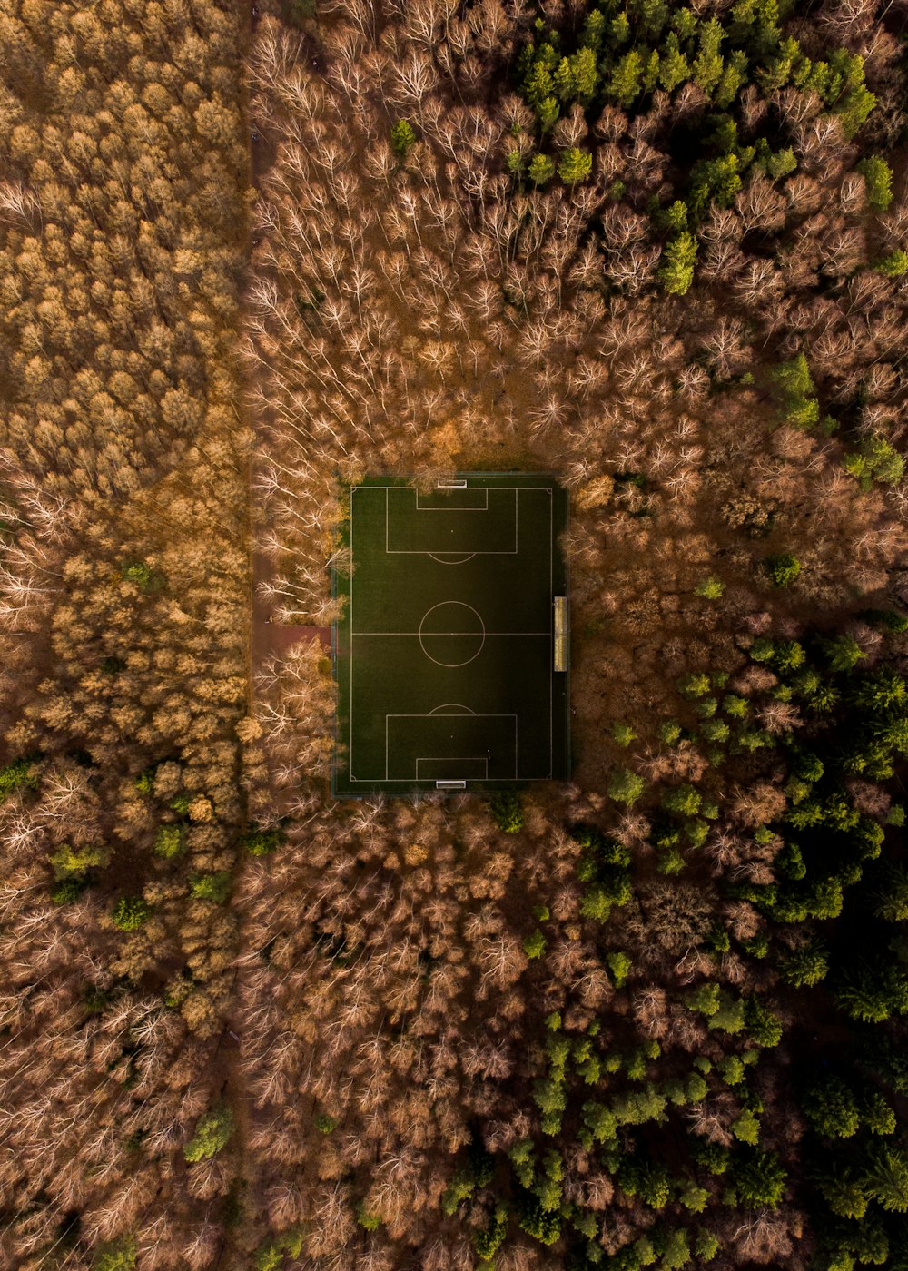 aerial photography of basketball court