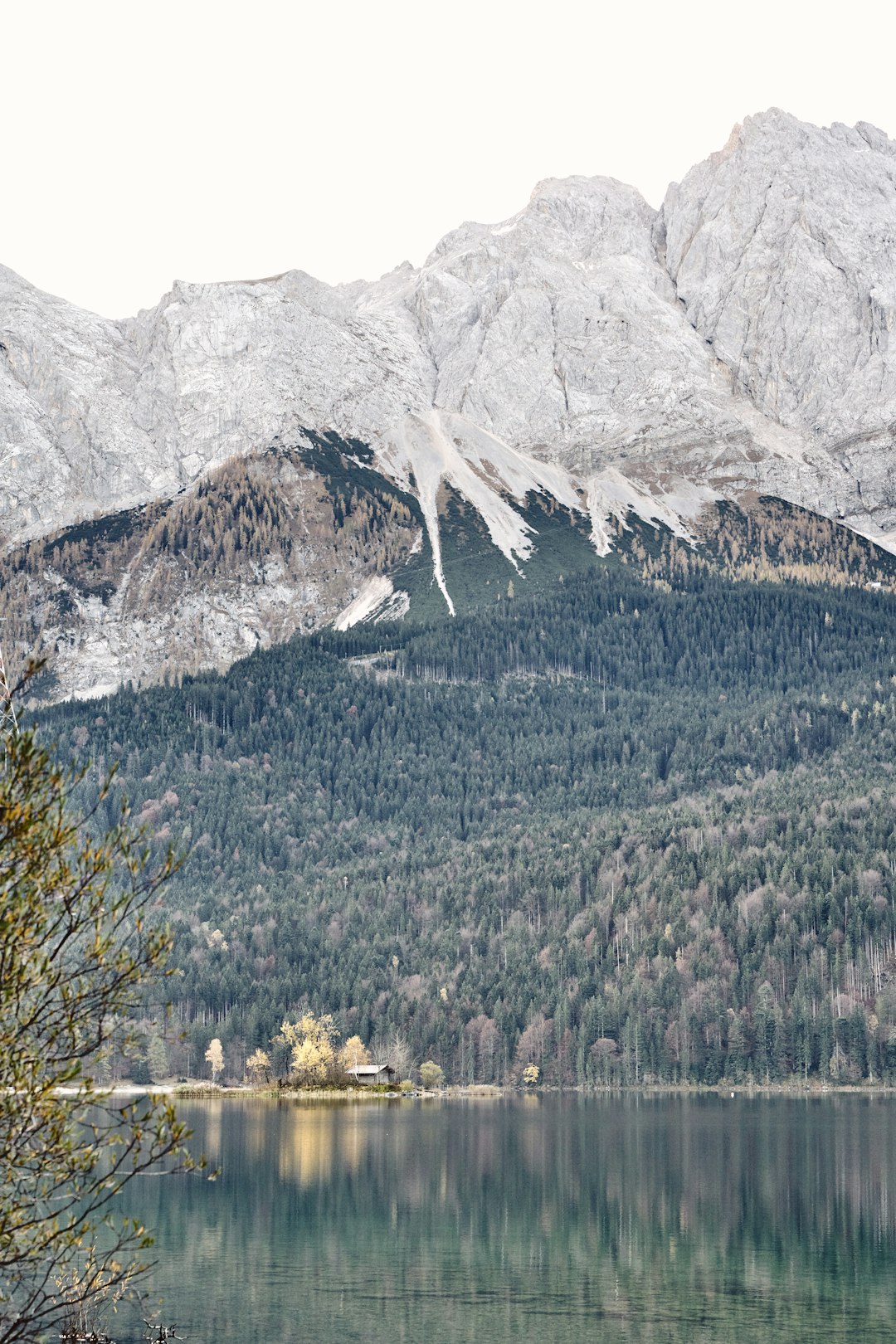 snow-capped mountain near trees