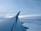 An airplane wing with a logo visible on the winglet extends across a cloud-covered sky during what appears to be sunset or sunrise, with blue and pink hues in the sky.