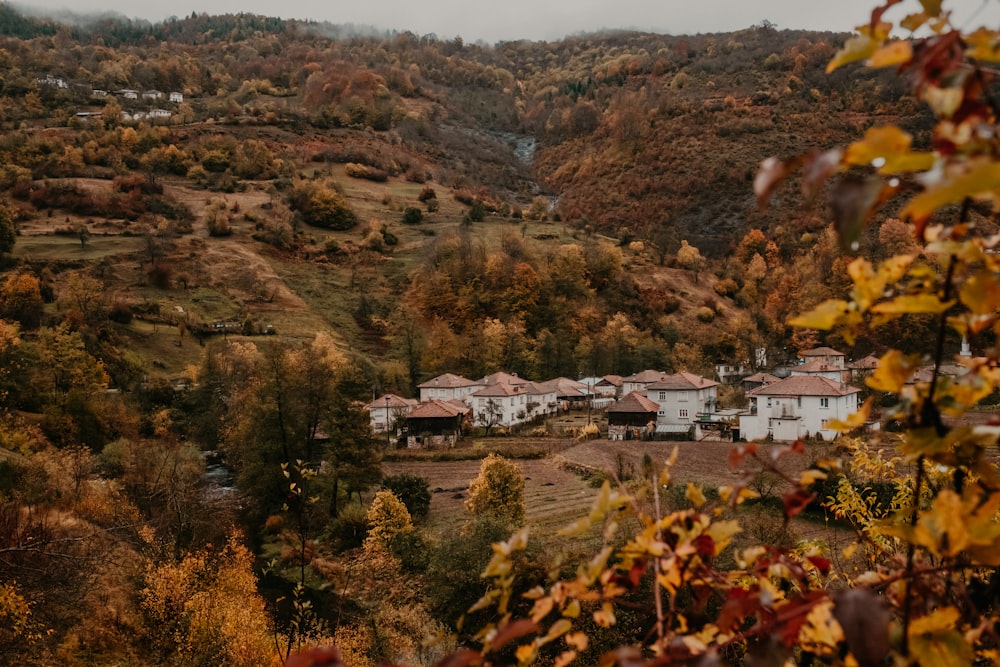 white and brown buildings in a village