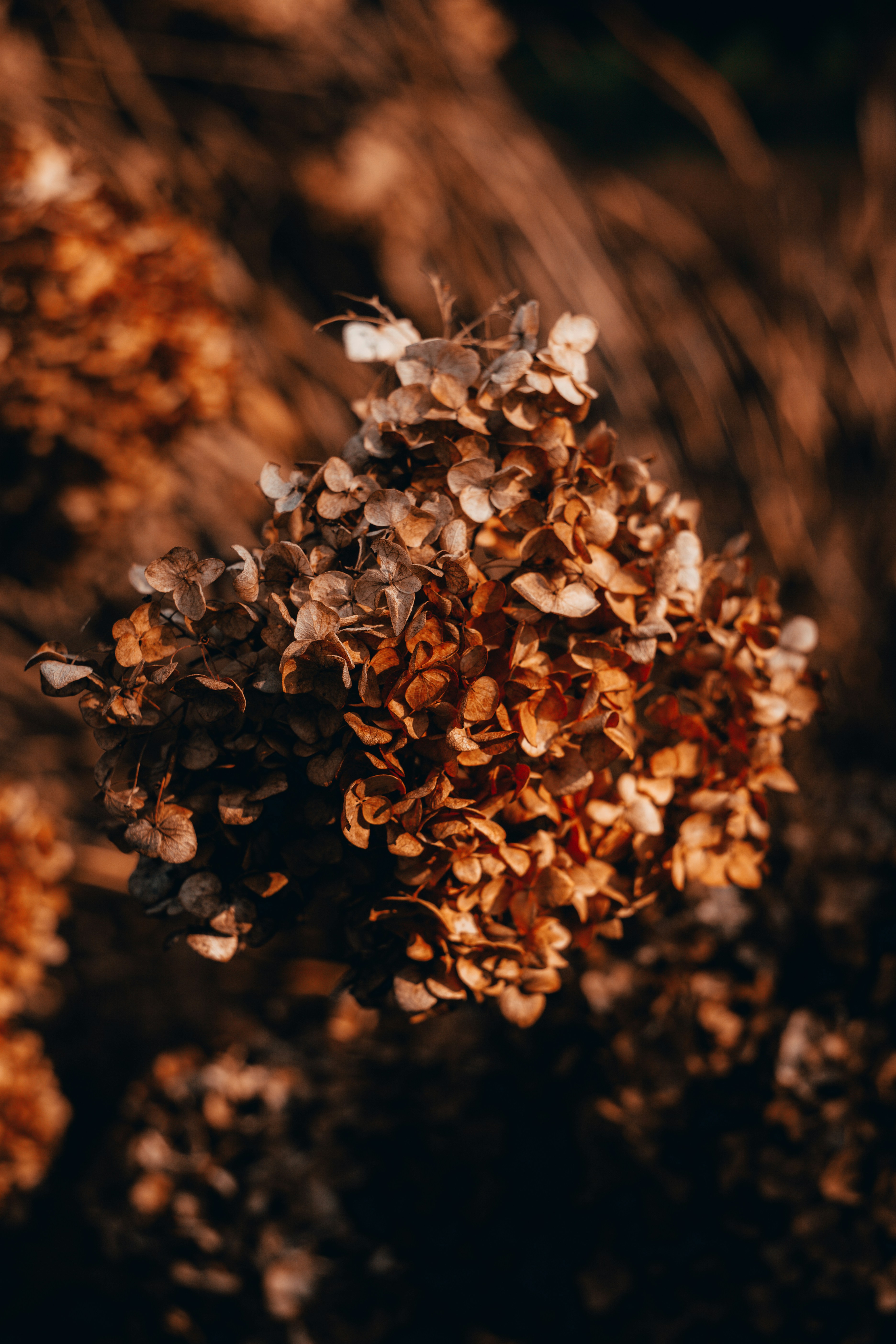 Photo by thewanderinggenk