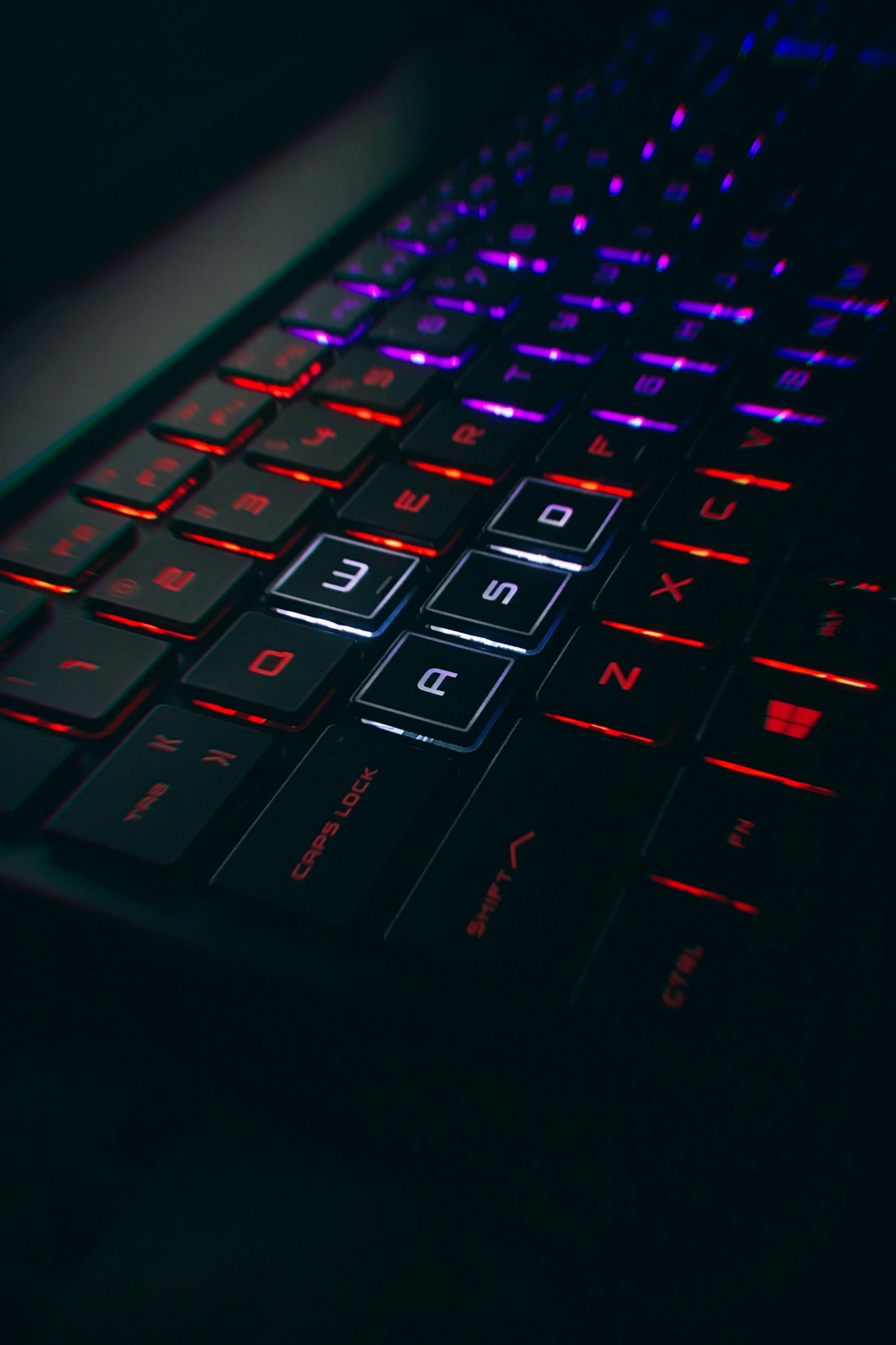 Photo by black_gryphon