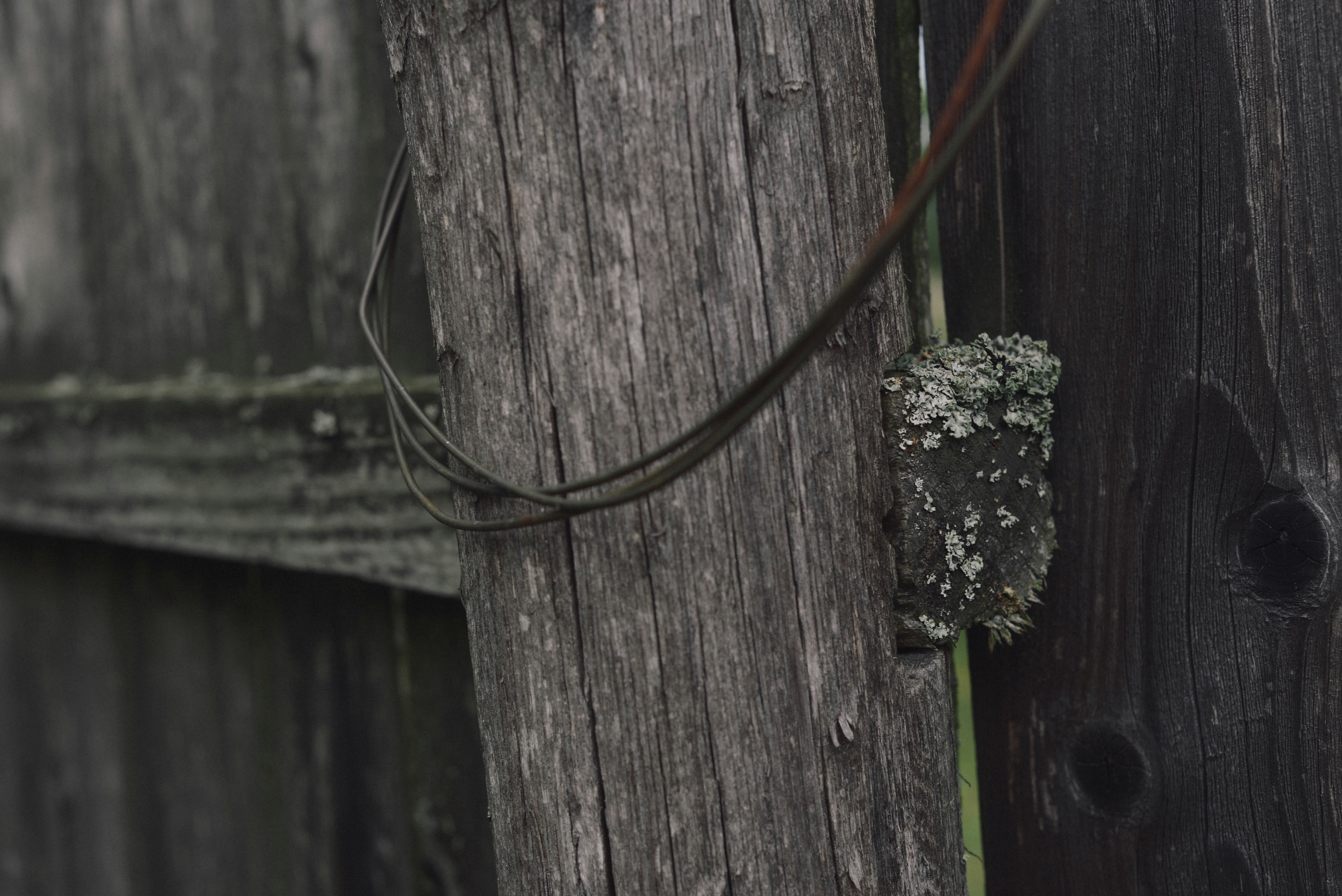 Porta De Madeira Marrom _udjiRtK9is