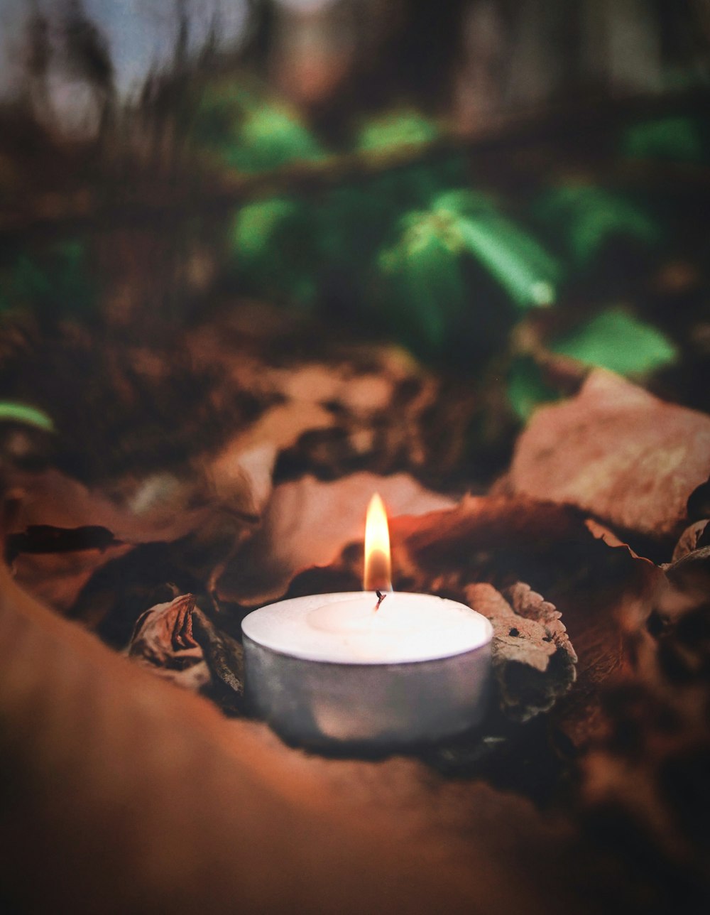 white candle on brown dried leaves