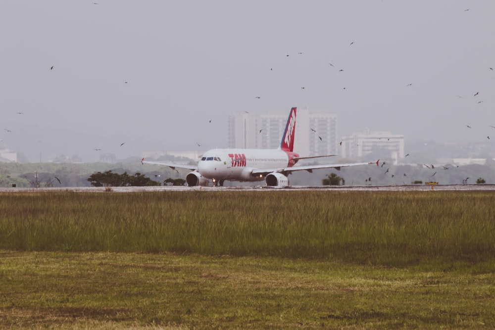 white and red airplane at airport