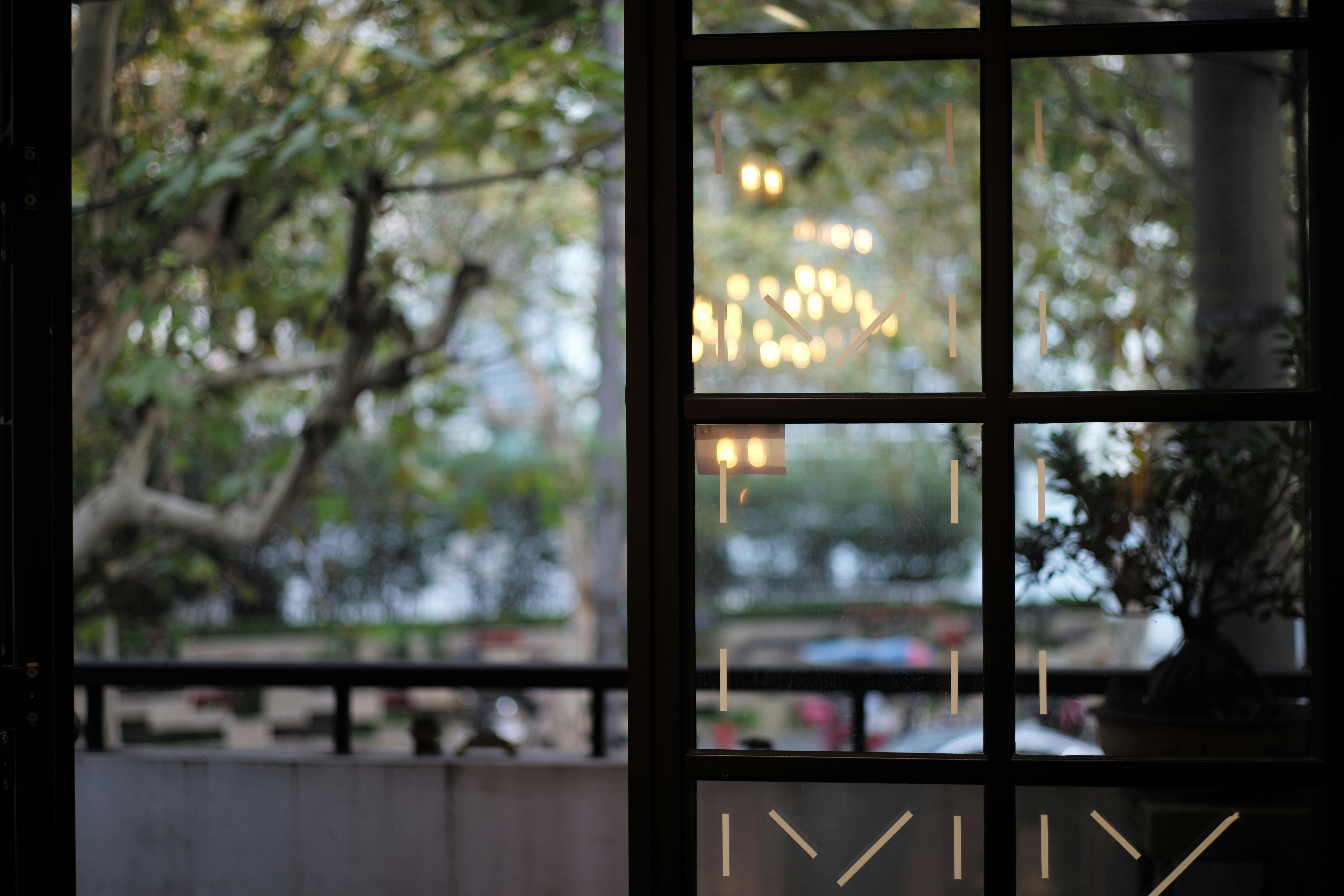 Photo by fanfan80532