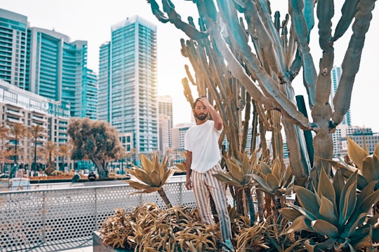 man in white shirt standing beside cacti in Beirut Lebanon