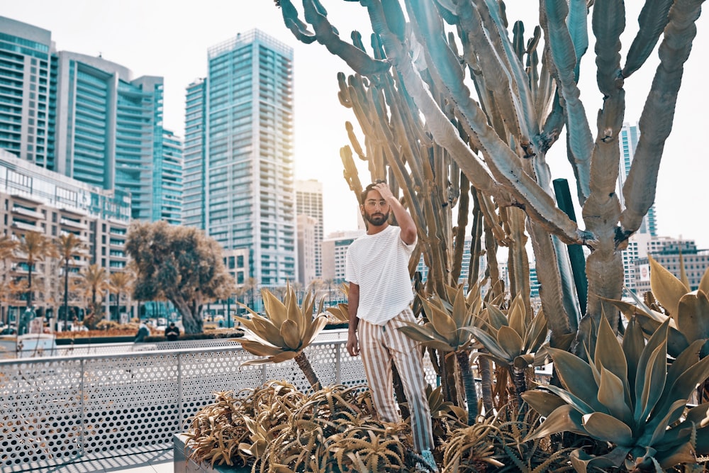 man in white shirt standing beside cacti