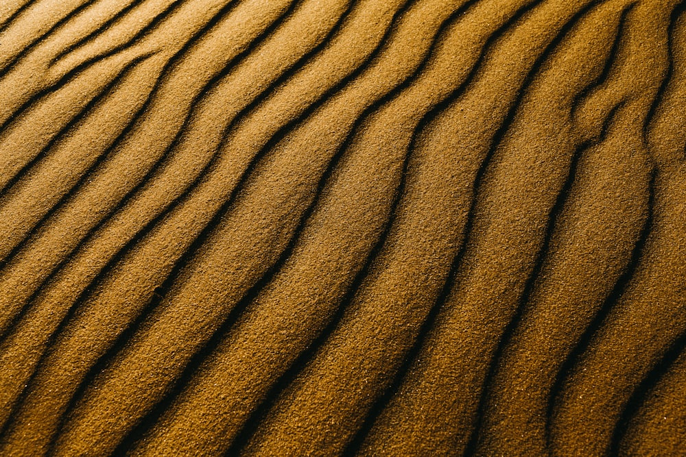 물결 모양의 선이 있는 모래 언덕의 클로즈업