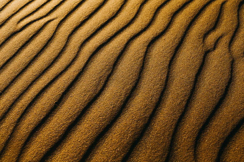 a close up of a sand dune with wavy lines