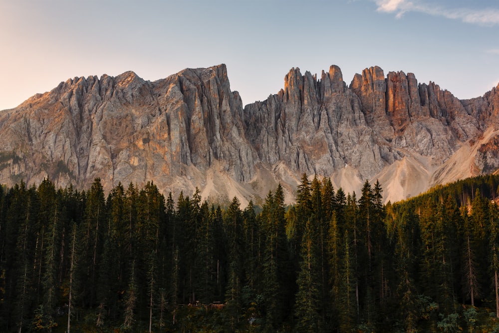 mountains during daytime