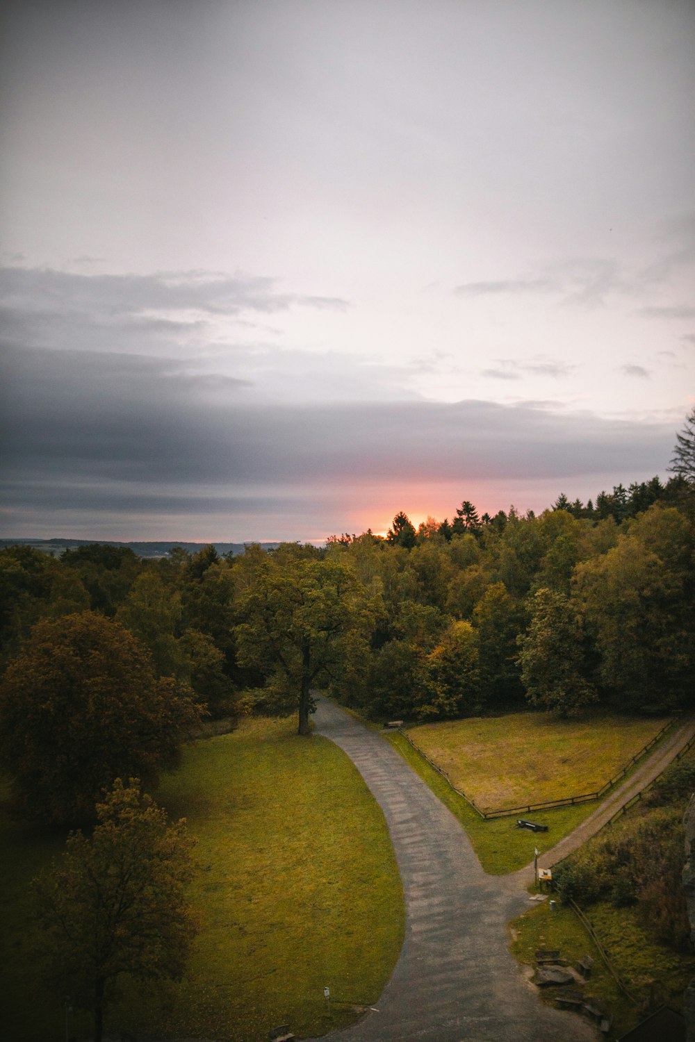 road between trees under cloudy sky