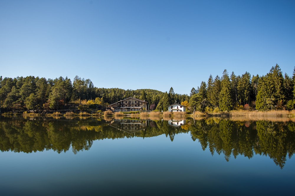 reflection of trees on body of water during daytime