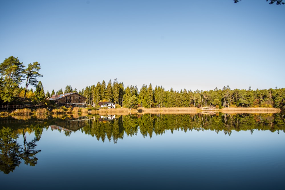 reflection of green trees surrounding house on body of water during daytime