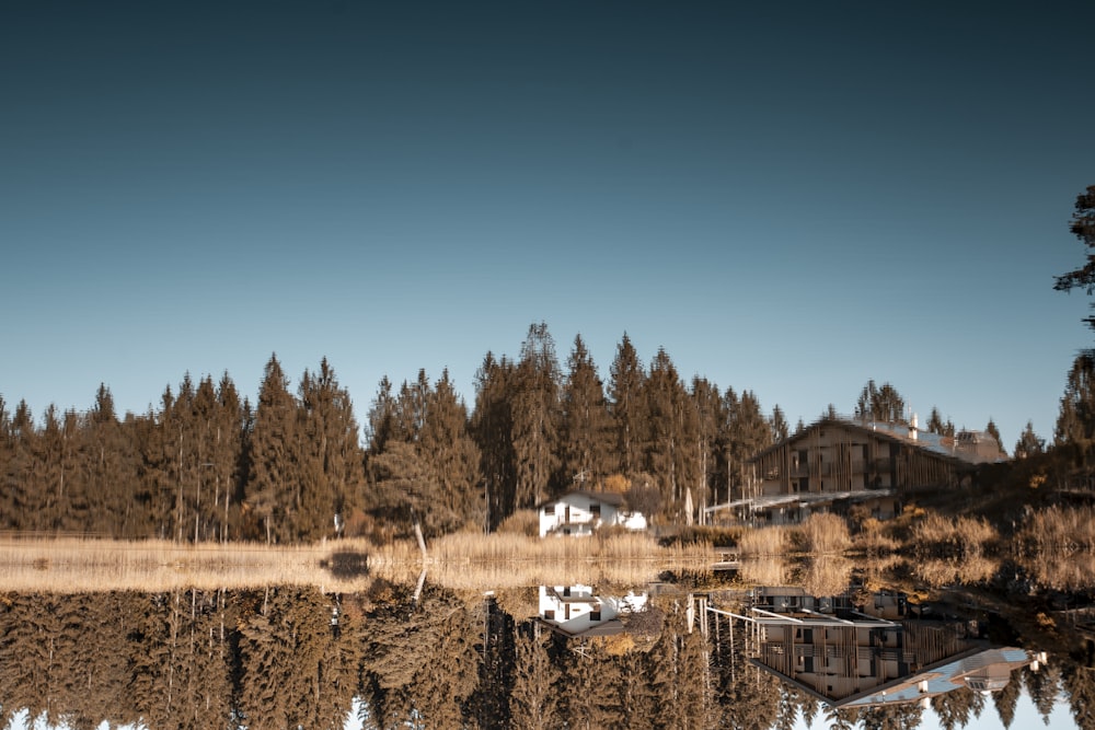 reflection of green trees beside house on body of water during daytime