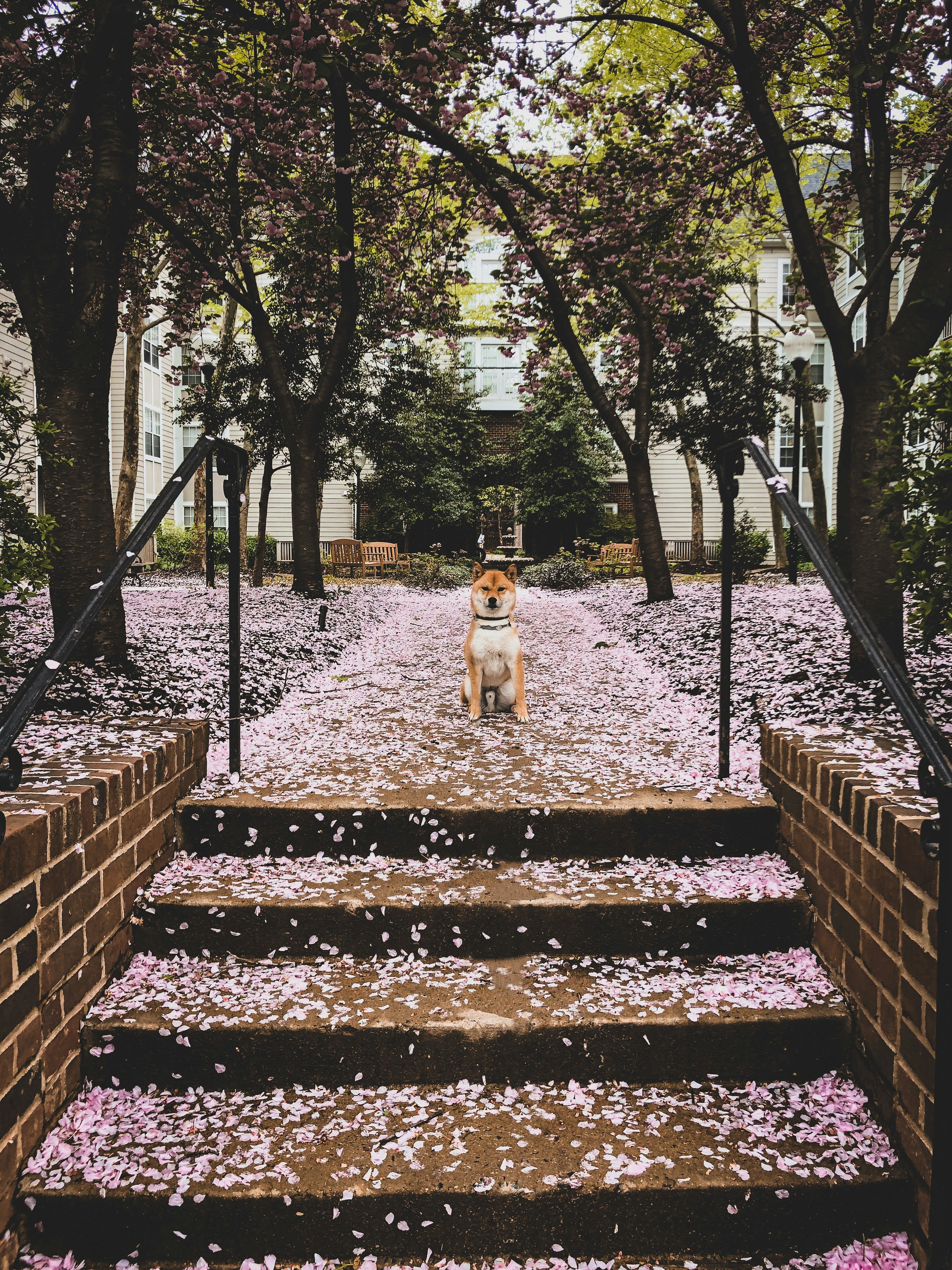 Gaithersburg, Maryland