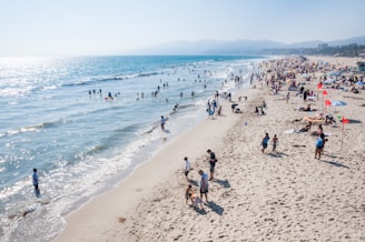 people standing on seashore