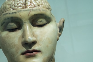 A detailed and realistic sculpture of a human head with anatomical features. The surface is inscribed with words and markings that appear to categorize different areas of the brain. The model is presented with closed eyes, giving it a calm and serene expression.