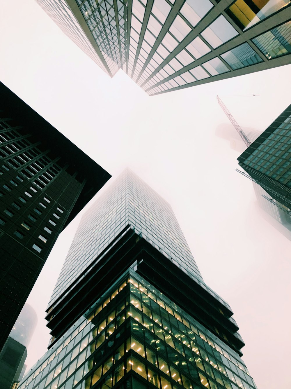 low angle photo of buildings