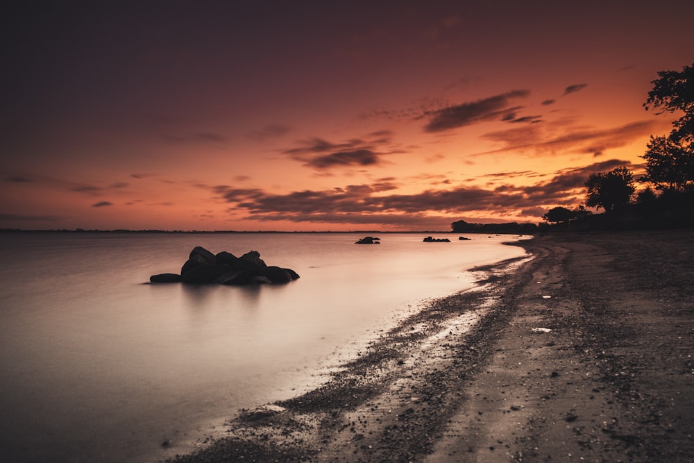 seashore during golden hour